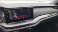 Skoda Octavia RS 4x4 Schwarz - thumbnail 19