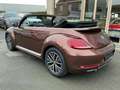 Volkswagen Beetle 1.2 i Allstar Brons - thumbnail 16