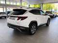 Hyundai TUCSON 1.6 TGDI HEV Maxx AT Blanco - thumbnail 3