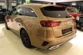 Kia Ceed SW / cee'd SW cee'd SW PHEV Spirit VOLL TOP SH KIA 1.H DE 19% Beige - thumbnail 18