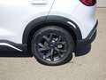 BYD Atto 2 Atto2 DM-i PHEV 18kWh Boost Österreich Paket in... Silber - thumbnail 5