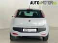 Fiat Punto Evo 1.3 Mjt 95 CV DPF 3 porte S&S Sport Grigio - thumbnail 5