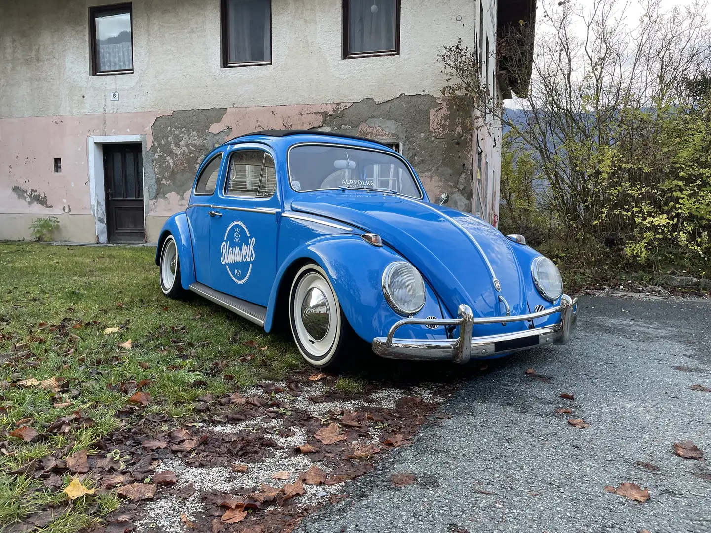 Volkswagen Käfer - 1