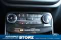 Ford Puma ST-Line AUTOMATIK|WINTER PAKET|KOMFORT PAKET|LED-S Grau - thumbnail 16