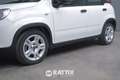 Fiat Panda 1.0 Firefly Hybrid 70CV Weiß - thumbnail 4
