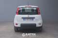 Fiat Panda 1.0 Firefly Hybrid 70CV Weiß - thumbnail 5
