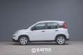 Fiat Panda 1.0 Firefly Hybrid 70CV Weiß - thumbnail 2