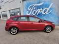 Ford Focus 1.0 Ecoboost Auto-S&S Trend+ 125 Paars - thumbnail 22