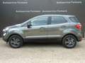 Ford EcoSport 1.0 Edition - 2022 - 44DKM - Stoelverwarming - Air Grau - thumbnail 3