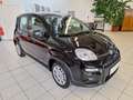 Fiat Panda 4x2 FireFly Hybrid 70 Pandina Nero - thumbnail 1