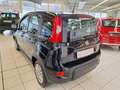 Fiat Panda 4x2 FireFly Hybrid 70 Pandina Nero - thumbnail 6