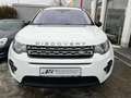 Land Rover Discovery Sport Discovery Sport 2.0 Td4 Pure Weiß - thumbnail 2