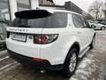 Land Rover Discovery Sport Discovery Sport 2.0 Td4 Pure Blanc - thumbnail 5