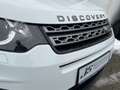 Land Rover Discovery Sport Discovery Sport 2.0 Td4 Pure Weiß - thumbnail 29