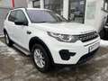 Land Rover Discovery Sport Discovery Sport 2.0 Td4 Pure Weiß - thumbnail 3