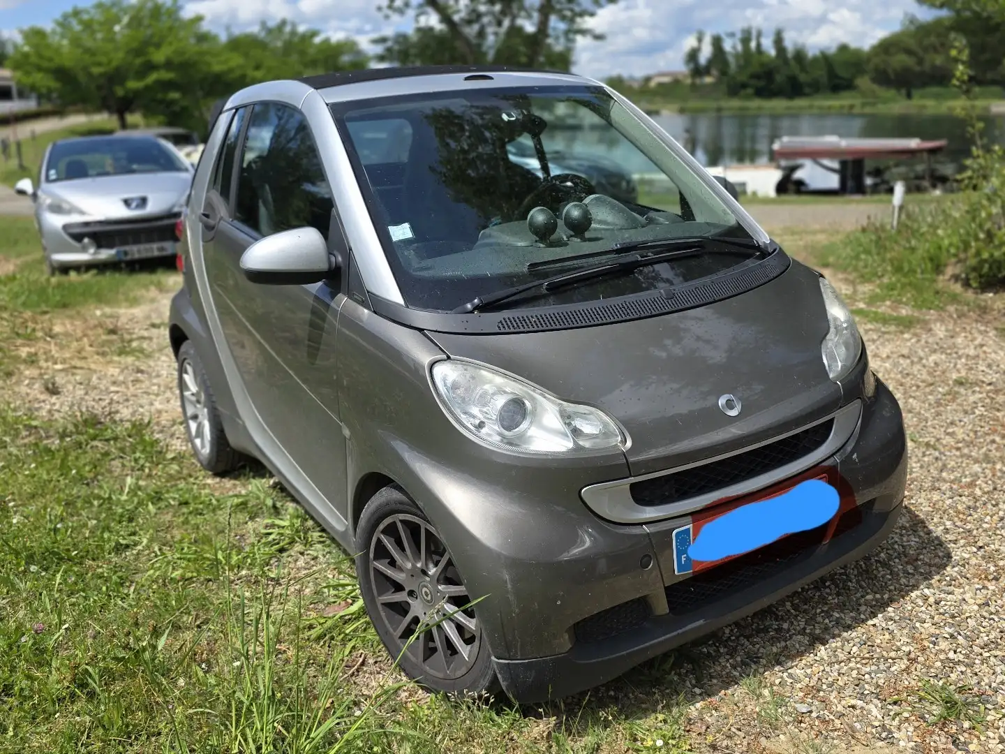smart forTwo Cabrio 1.0 71ch mhd Passion Brun - 1