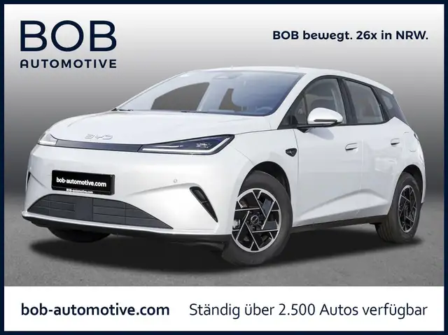 BYD Dolphin