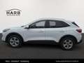 Ford Kuga Titanium X Weiß - thumbnail 8