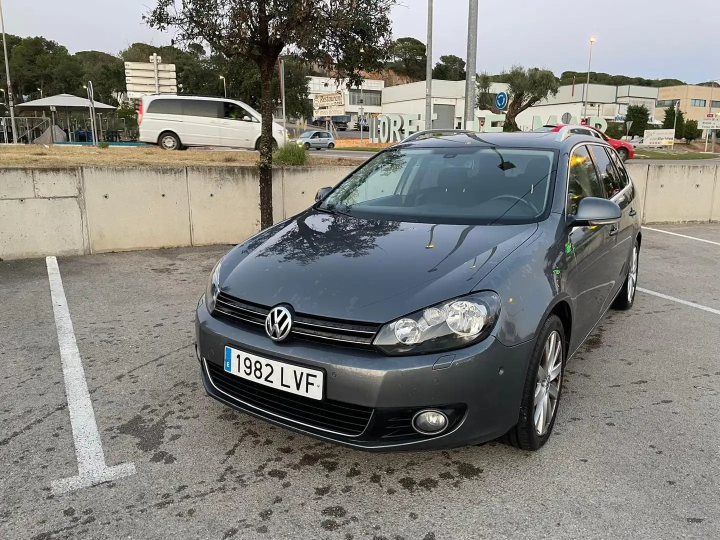 Volkswagen Golf Variant Golf Variant 1.6 TDI CR Advance Advance Gris - 1