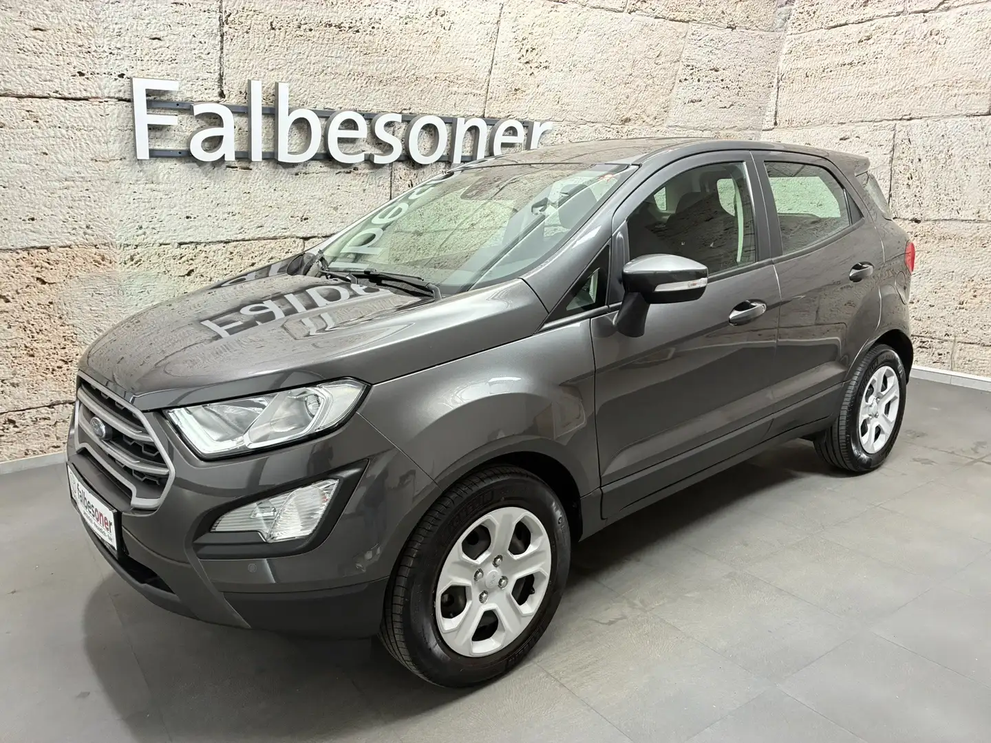 Ford EcoSport 1,0 EcoBoost Trend Grau - 1