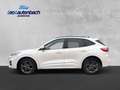 Ford Kuga Plug-In Hybrid ST-Line X Blanc - thumbnail 2