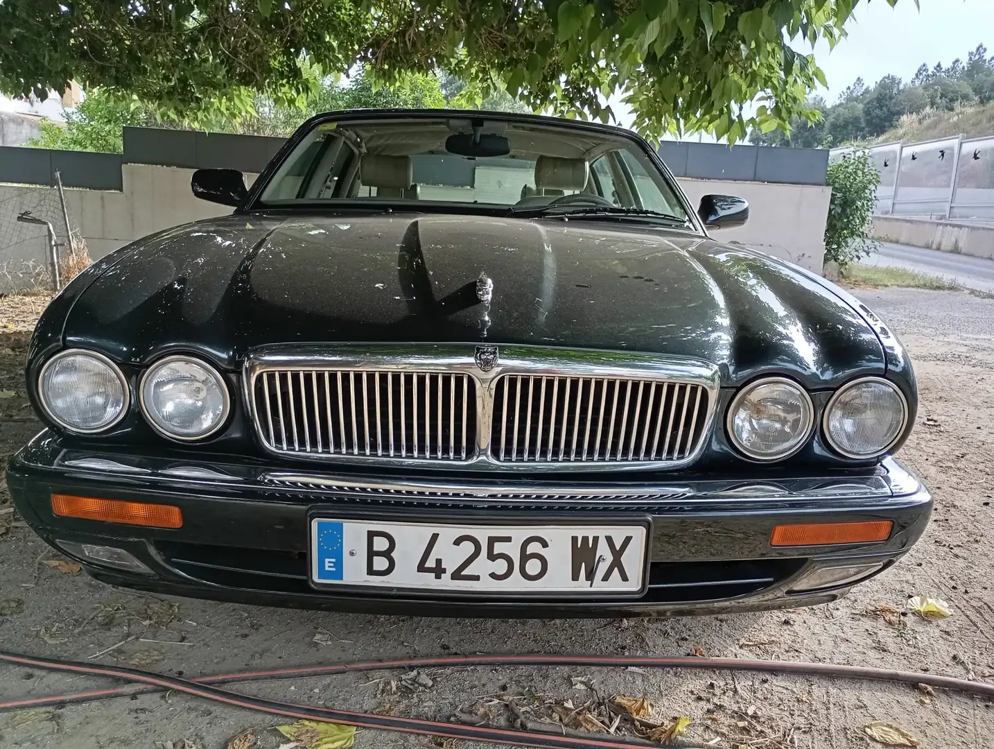 Jaguar XJ6 XJ6 3.2 Executive Executive Vert - 1