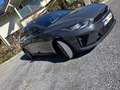 Kia ProCeed / pro_cee'd pro ceed 1,5 TGDI 48V GPF GT-Line DCT GT-Line mild Grau - thumbnail 3