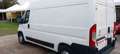Citroen Jumper 2.0 L2 H2 NO MAIL Bianco - thumbnail 6