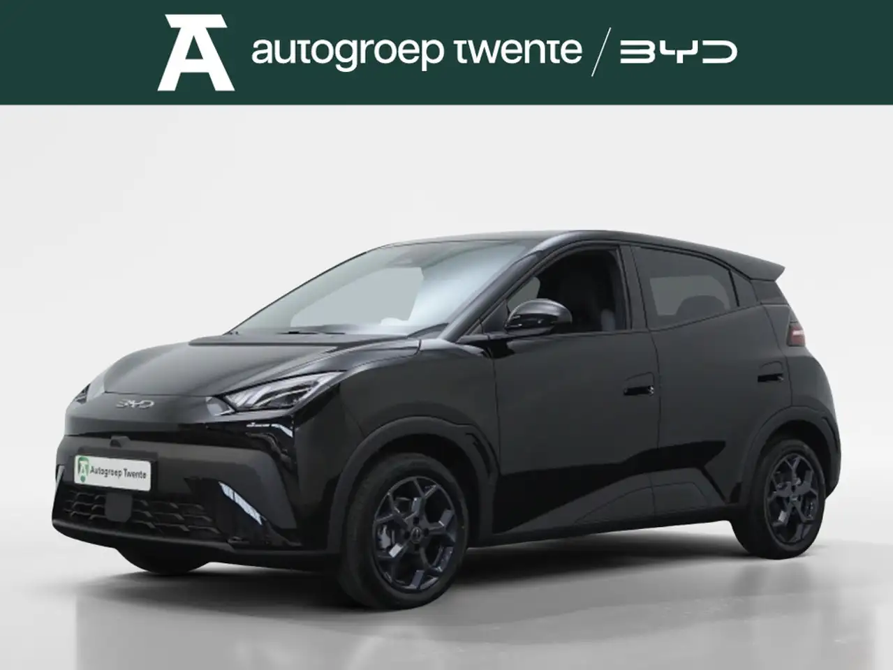 BYD Dolphin Surf 2026