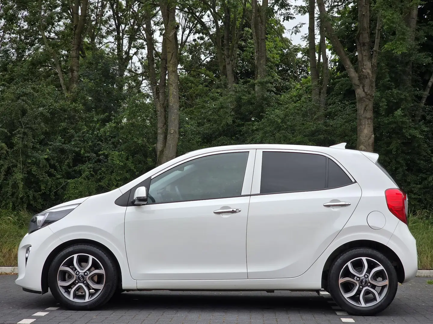 Kia Picanto 5drs 1.0 DPi DynamicPlusLine | Pdc & Achteruitrijc Blanco - 2