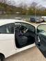 Ford Ka/Ka+ 1.3 TDCi 75 cv individual Bianco - thumbnail 3