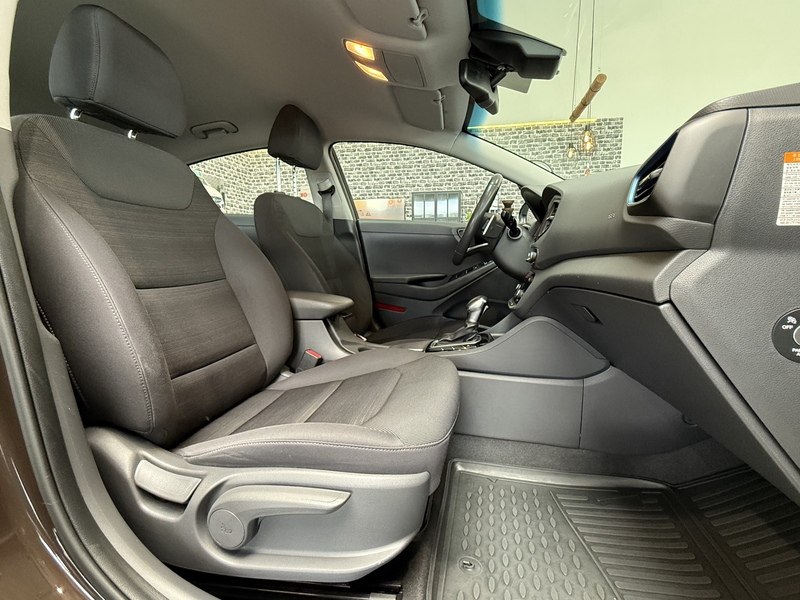Hyundai IONIQ IONIQ Style Hybrid|AHK|KAMERA|NAVI|SHZ|ASSISTENZ+ — photo 13
