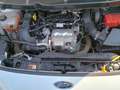 Ford Transit Courier 1.0 100 PS EcoBoost S 12 Tkm/Klimaaut/Rückf-Ka Alb - thumbnail 4