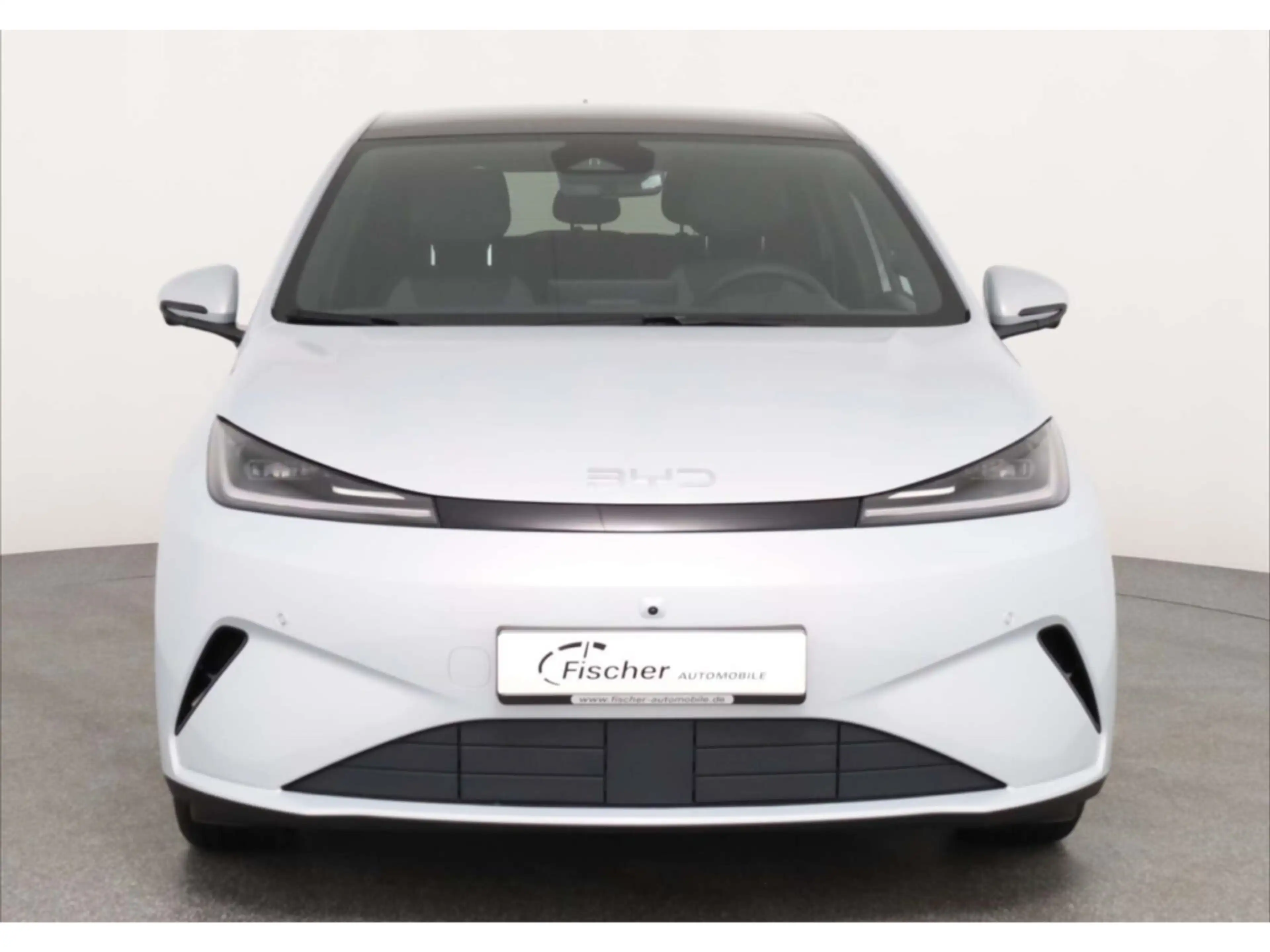 BYD Dolphin G DM-i Comfort LP: 34.240,- /W-Head-up Display — photo 3