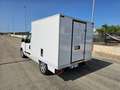 Fiat Doblo DOBLO' WORK-UP 1.6 MJT 105CV CASSA FRIGO FRCX-20 Blanc - thumbnail 14