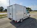 Fiat Doblo DOBLO' WORK-UP 1.6 MJT 105CV CASSA FRIGO FRCX-20 Blanc - thumbnail 6