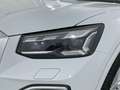 Audi Q2 35 TDI Adrenalin quattro S tronic 110kW Blanco - thumbnail 17