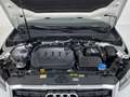 Audi Q2 35 TDI Adrenalin quattro S tronic 110kW Blanco - thumbnail 11