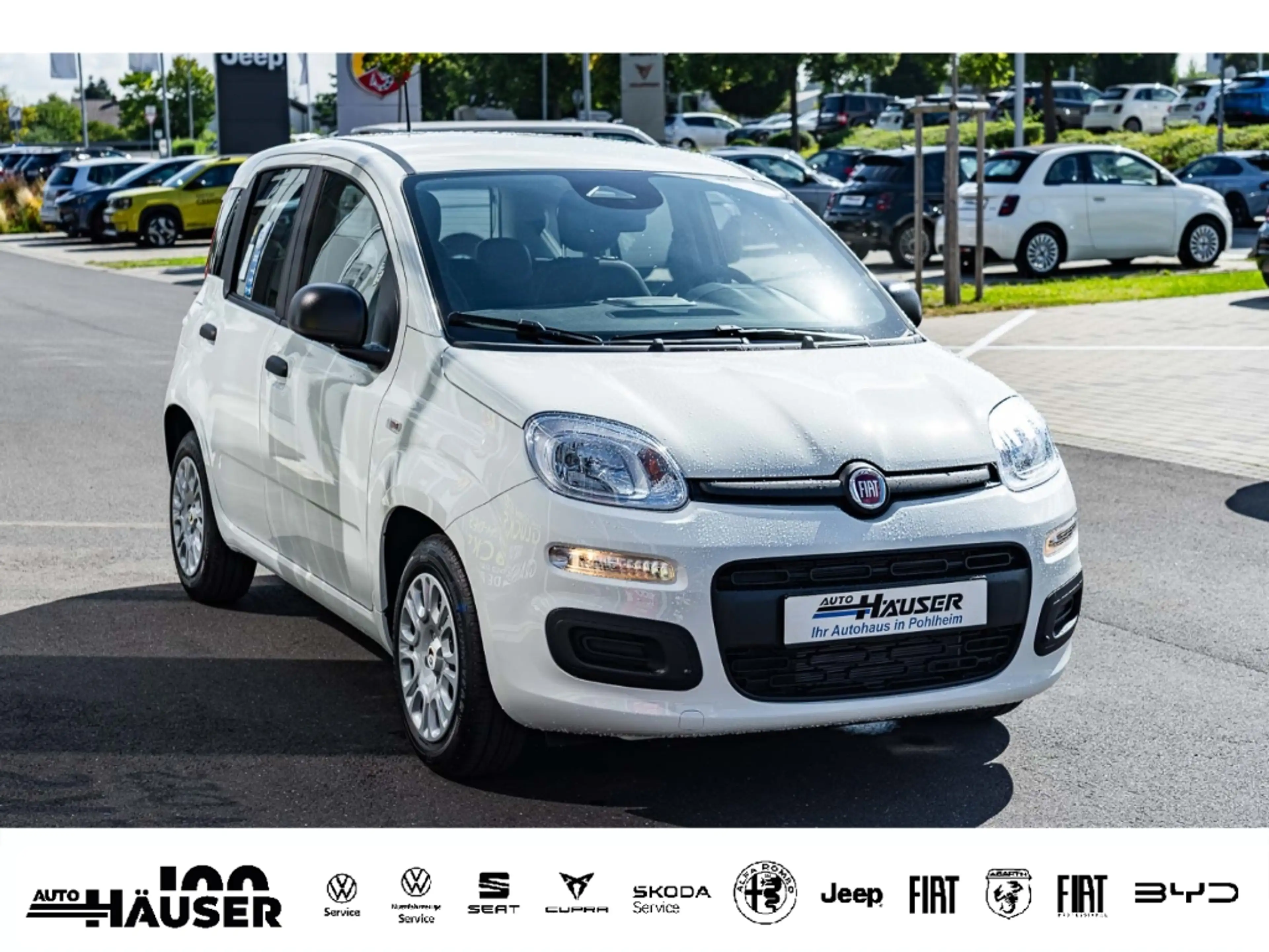 Fiat Panda MY25 Hybrid 1.0 GSE CITY-PAKET TEMPOMAT PDC — photo 6