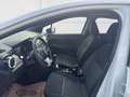 Nissan Micra Visia Plus Weiß - thumbnail 10