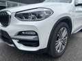 BMW X3 (G01/F97) XDRIVE20D LUXURY Bianco - thumbnail 6
