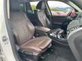 BMW X3 (G01/F97) XDRIVE20D LUXURY Bianco - thumbnail 16