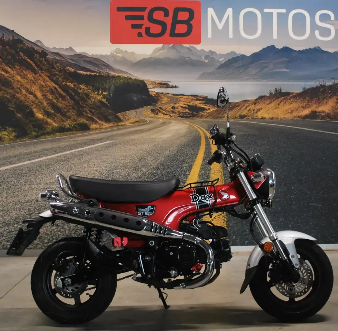 Honda dax 125 - 1