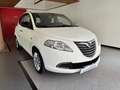 Lancia Ypsilon 1.2 8v 69cv Bianco - thumbnail 3