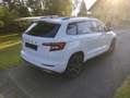 Skoda Karoq Karoq 2,0 TDI Sportline - thumbnail 6