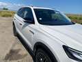MG Marvel R MG MARVEL LUXURY / 1er Main Blanco - thumbnail 41