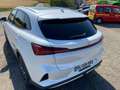 MG Marvel R MG MARVEL LUXURY / 1er Main Blanco - thumbnail 27