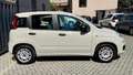 Fiat Panda FIAT Panda 1.2 Easy easypower Gpl 69cv Neopatentat Beige - thumbnail 5