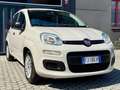Fiat Panda FIAT Panda 1.2 Easy easypower Gpl 69cv Neopatentat Beige - thumbnail 1