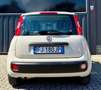 Fiat Panda FIAT Panda 1.2 Easy easypower Gpl 69cv Neopatentat Beige - thumbnail 18